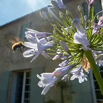 Holiday home Entre Bordeaux Et Saint-emilion Genissac