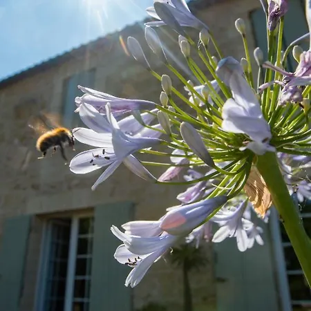 Holiday home Entre Bordeaux Et Saint-emilion Genissac